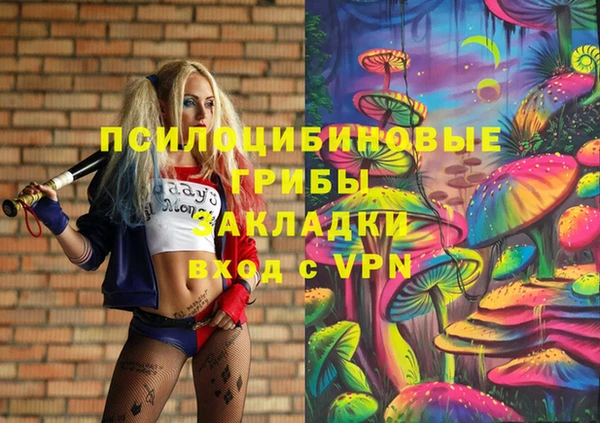 мяу мяу мука Баксан