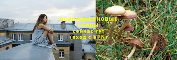 мяу мяу мука Баксан